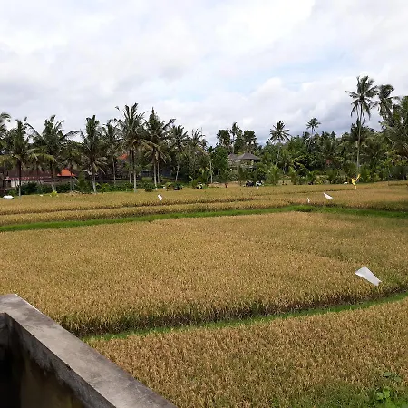 Umah Dangin Guest House