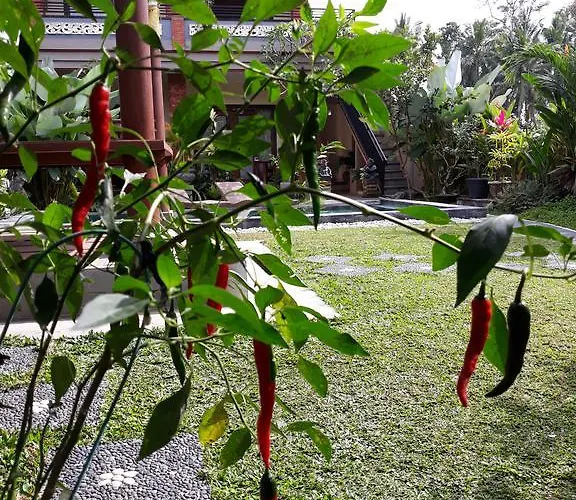Umah Dangin Pensión